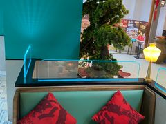 -蛙小侠(天成店)