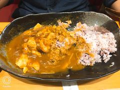 野菌鸡肉咖喱饭-胜博殿日式炸猪排(西红门店)