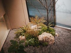 -隐溪茶馆(金虹桥店)