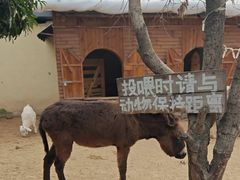 -HERRE·FARM 赫尔露营农场·团建聚会包场