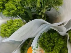 -双季花艺园艺市场(浦东店)