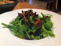 -新凯里酸汤鱼(飞山街店)