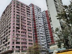 -油麻地果栏