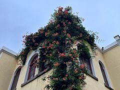 -青岛德国监狱旧址博物馆