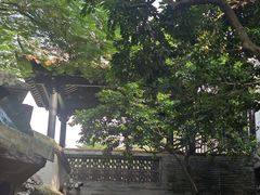-荔湾湖公园