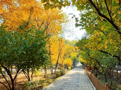 -哈尔滨文化公园