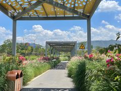 -光明小镇欢乐田园