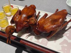 -大鸽饭(体育西路店)