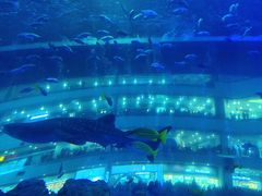 -成都浩海立方海洋公园