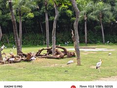 -广州长隆野生动物世界