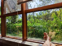 -成都安仁福朋喜来登酒店