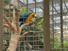 -南宫五洲植物乐园