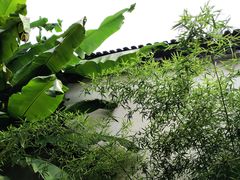 -陆稿荐观前街店