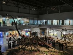 -自贡恐龙博物馆