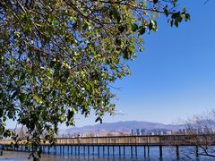 -洱海月湿地公园