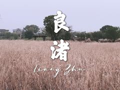 -良渚古城遗址公园