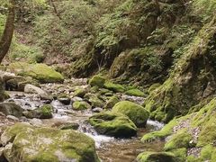 -牛背梁国家森林公园