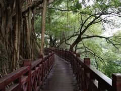 -乌山风景区