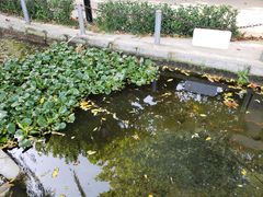 -河北村民俗体验园