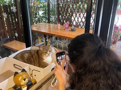 -咖法森林·咖啡  酒吧(天河店)