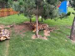 -西霞口神雕山野生动物世界