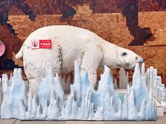 -富龙滑雪场