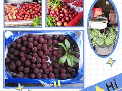 -芦潮港集贸市场