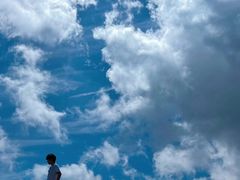 -牛背梁国家森林公园