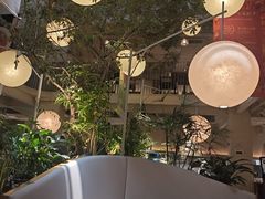 -馋嘴猫北京食堂·烤鸭·宵夜(亚运村店)