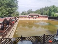 -尚庄度假村·庭台树下·户外烧烤·团建CS·轰趴营地(上庄水库店)