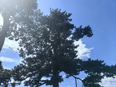 -妙峰山风景名胜区
