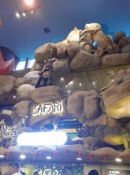 -卡通尼·Safari非洲探索乐园·生日会(金桥国际商业广场店)