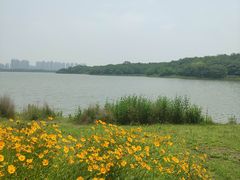 -盘龙城国家考古遗址公园