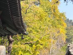 -潭柘寺景区