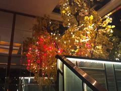 -丽晶大班SPA(大沽店)