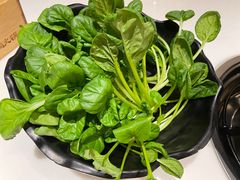 -东椰·海南椰子鸡火锅(朝阳门店)