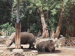 -北京野生动物园