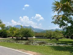 -中国科学院西双版纳热带植物园