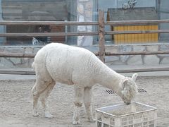 -北京市海淀外国语实验学校