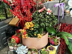 -FEI FEI FLOWER鲜花店·气球派对·宝宝宴布置(虹口德必运动Loft店)