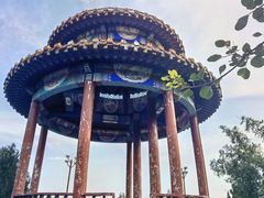 -府君山公园