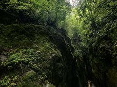 -牛背梁国家森林公园