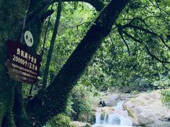 -西岭雪山大飞水景区
