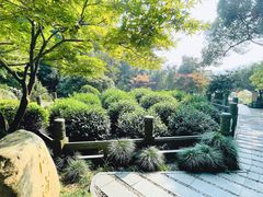 -十八棵（老龙井）御茶园(老龙井店)