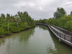 -东寨港红树林旅游区