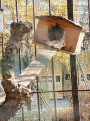 -萌宠亲子动物乐园(槐房万达店)