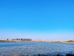 -九龙湖公园