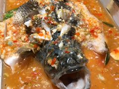 -佬肥猫(国华广场店)