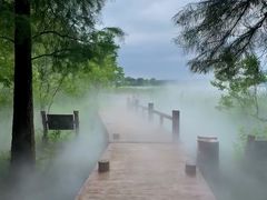 -东湖落雁景区