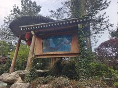 -唐风温泉